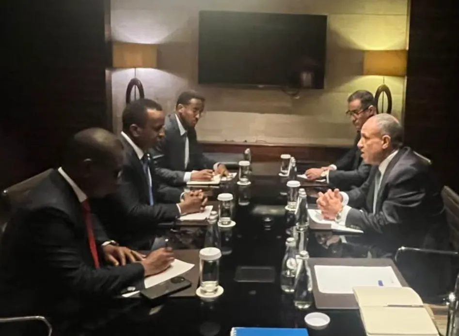 القاهرة ومقديشو تنسقان المواقف لمواجهة تحديات القرن الافريقي والبحر الاحمر